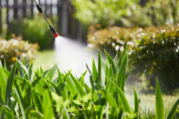 24/7 Emergency Mosquito Control experts in Lyndon, KS