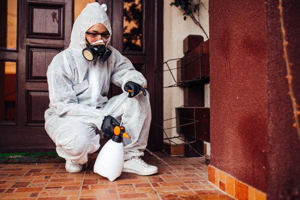 Reliable Mosquito Control contractor in Lyndon, KS by Show Me Pest Control